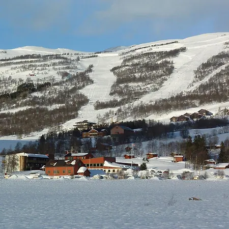 Imi Stølen